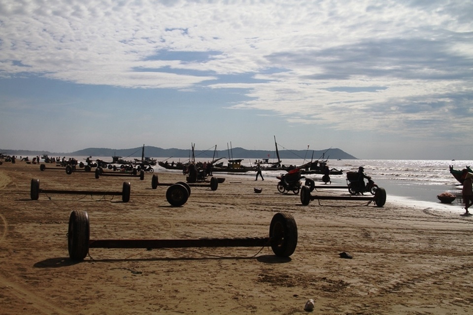 Ngư dân xứ Thanh kiếm tiền triệu nhờ trúng đậm moi - 10