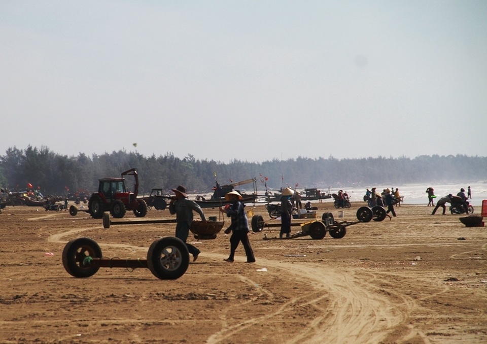 Ngư dân xứ Thanh kiếm tiền triệu nhờ trúng đậm moi - 5