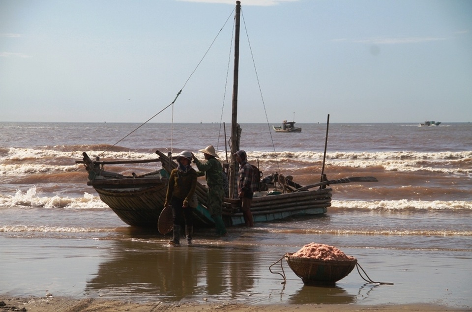 Ngư dân xứ Thanh kiếm tiền triệu nhờ trúng đậm moi - 3