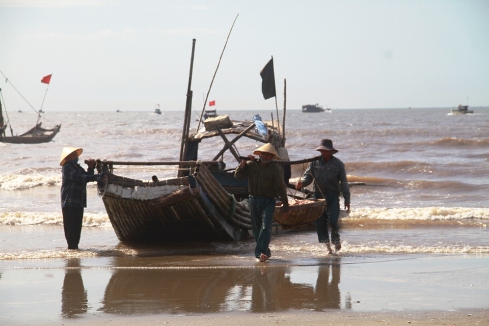 Ngư dân xứ Thanh kiếm tiền triệu nhờ trúng đậm moi - 11