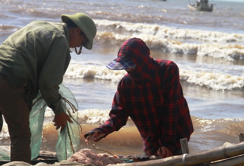 Ngư dân xứ Thanh kiếm tiền triệu nhờ trúng đậm moi - 7