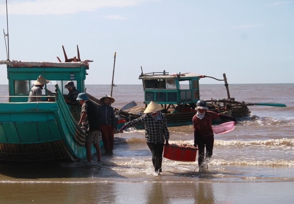 Ngư dân xứ Thanh kiếm tiền triệu nhờ trúng đậm moi - 4