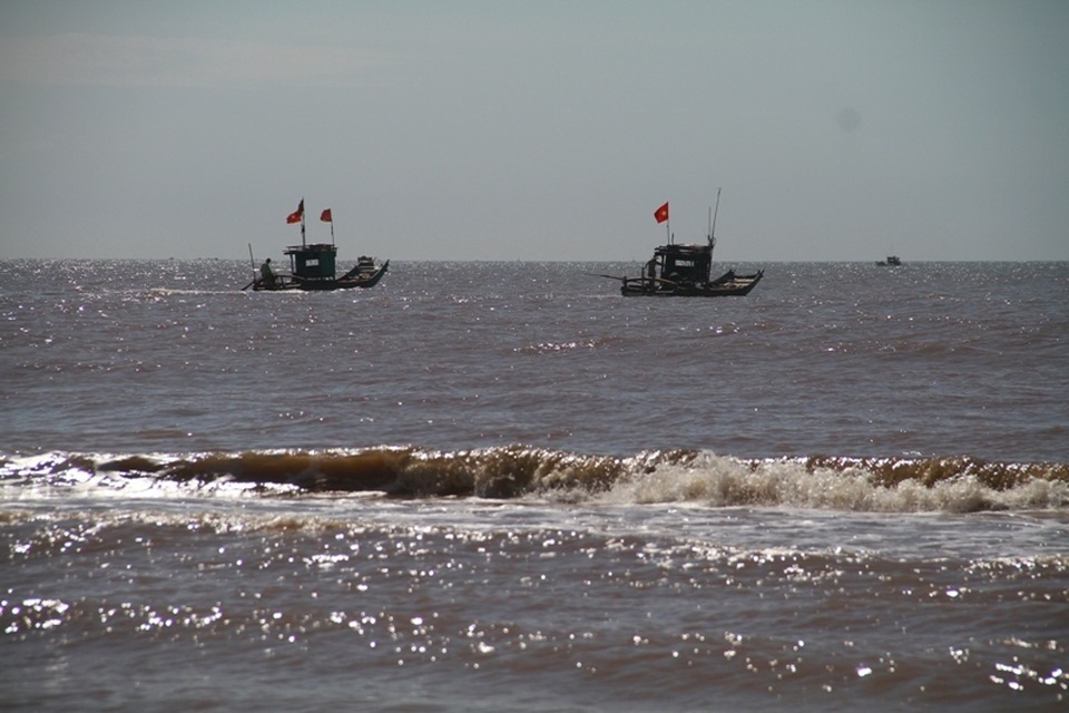 Ngư dân xứ Thanh kiếm tiền triệu nhờ trúng đậm moi - 1