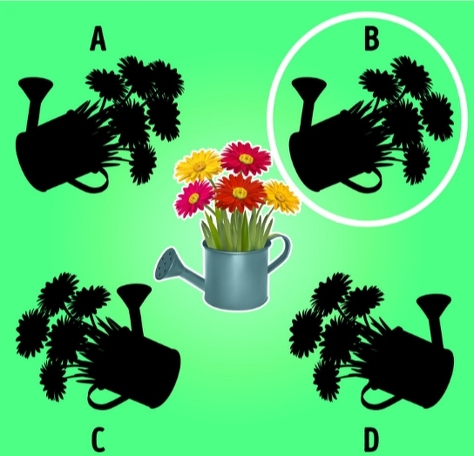 Kiểm tra nhanh: Bộ não của bạn có khả năng tập trung ở mức độ nào? - 12 Kiểm tra nhanh: Bộ não của bạn có khả năng tập trung ở mức độ nào? - 12