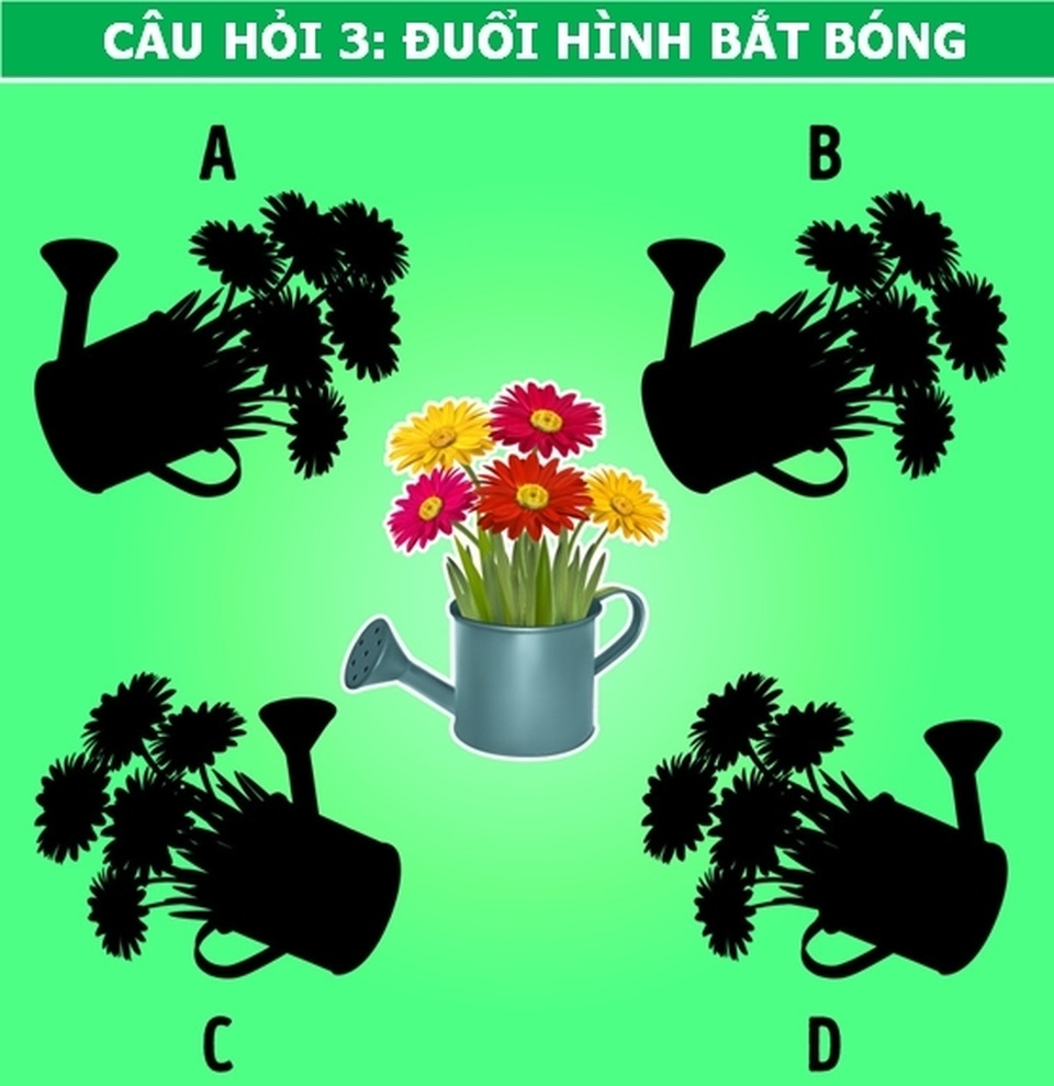 Kiểm tra nhanh: Bộ não của bạn có khả năng tập trung ở mức độ nào? - 3 Kiểm tra nhanh: Bộ não của bạn có khả năng tập trung ở mức độ nào? - 3
