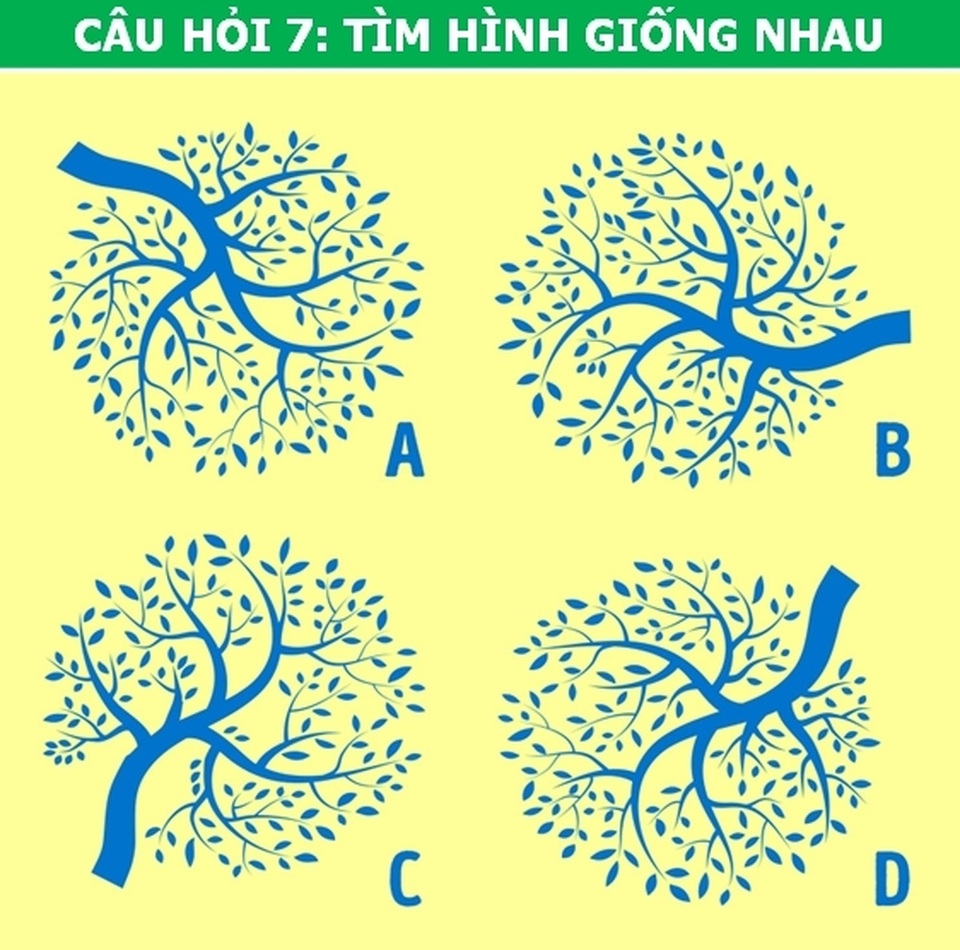 Kiểm tra nhanh: Bộ não của bạn có khả năng tập trung ở mức độ nào? - 7 Kiểm tra nhanh: Bộ não của bạn có khả năng tập trung ở mức độ nào? - 7