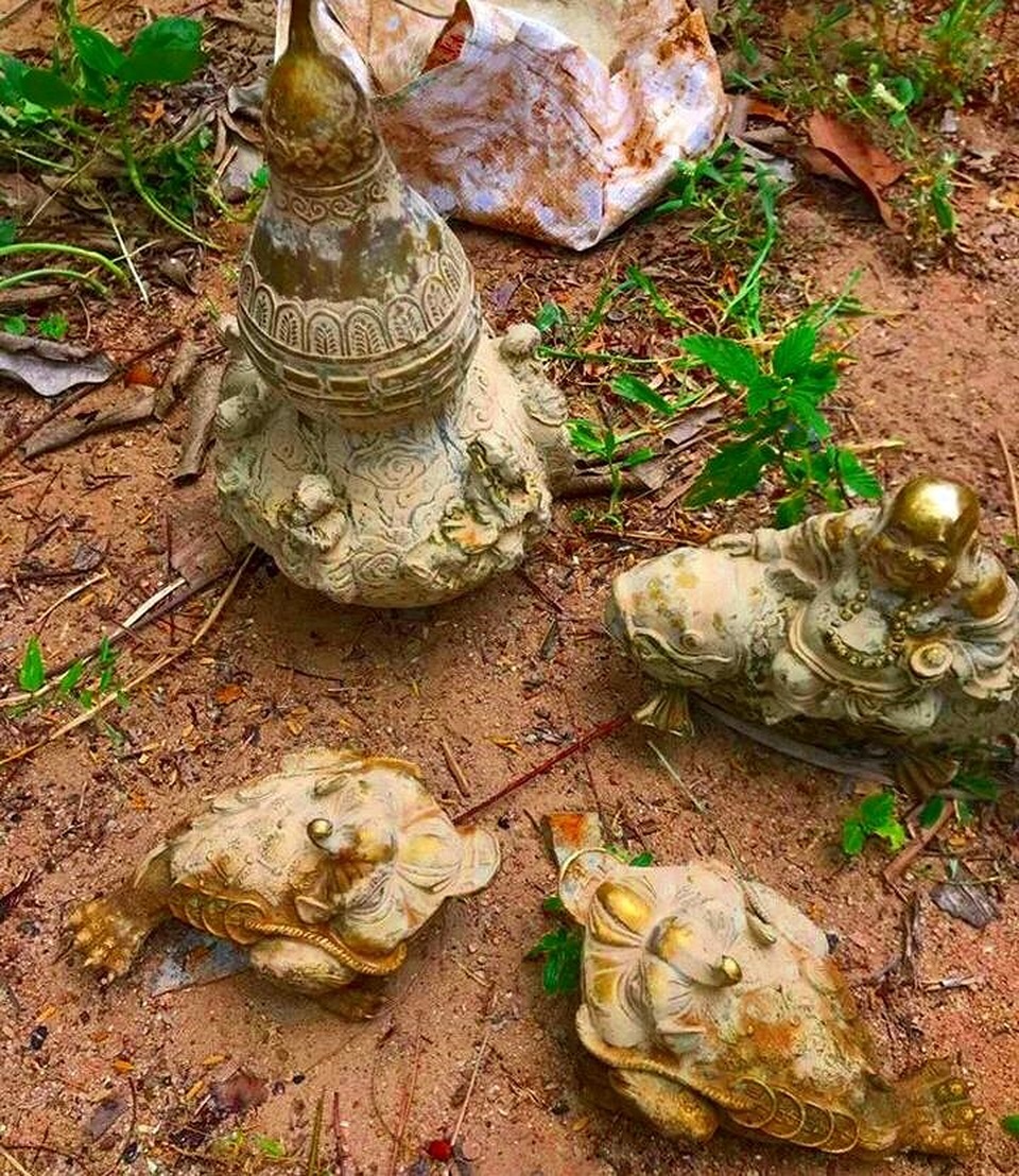 Đào ao bất ngờ phát hiện “kho báu” gần núi Tàu - 2 Đào ao bất ngờ phát hiện “kho báu” gần núi Tàu - 2