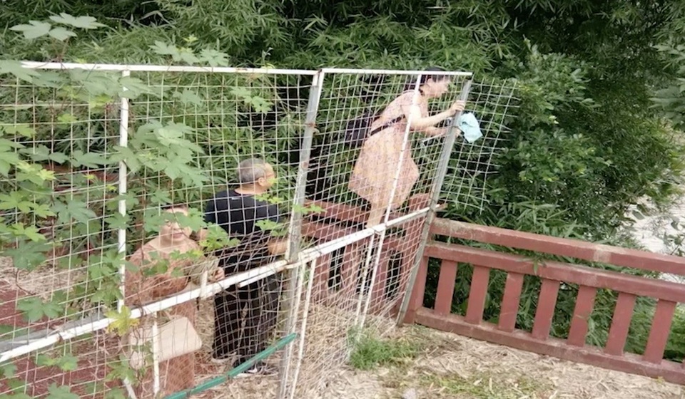 Khách trèo rào hái trụi hoa sen, công viên Trung Quốc buộc phải đóng cửa - 3