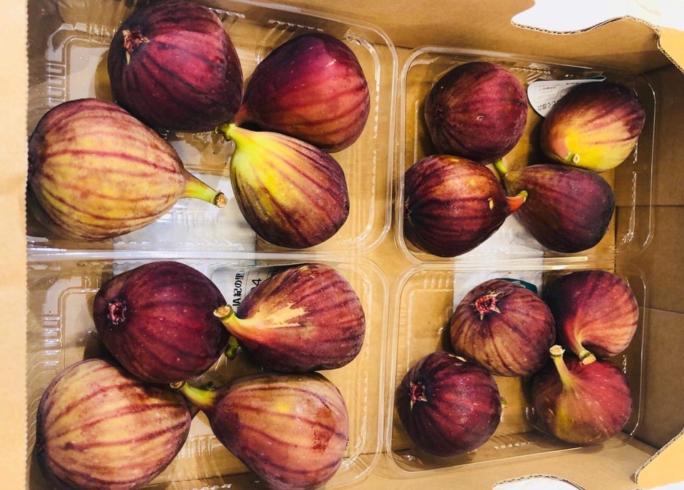 Tẩm bổ quả sung đỏ lựng, hàng xách tay 2 triệu đồng/kg - 3 Tẩm bổ quả sung đỏ lựng, hàng xách tay 2 triệu đồng/kg - 3