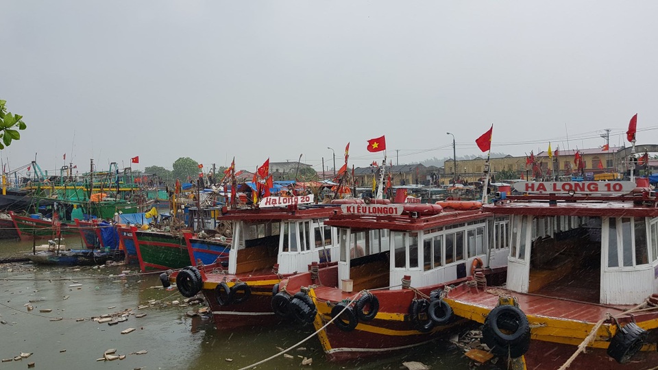 Bạch Long Vĩ đã có gió cấp 7 - 8, Đồ Sơn sóng biển dâng cao - 7 Bạch Long Vĩ đã có gió cấp 7 - 8, Đồ Sơn sóng biển dâng cao - 7