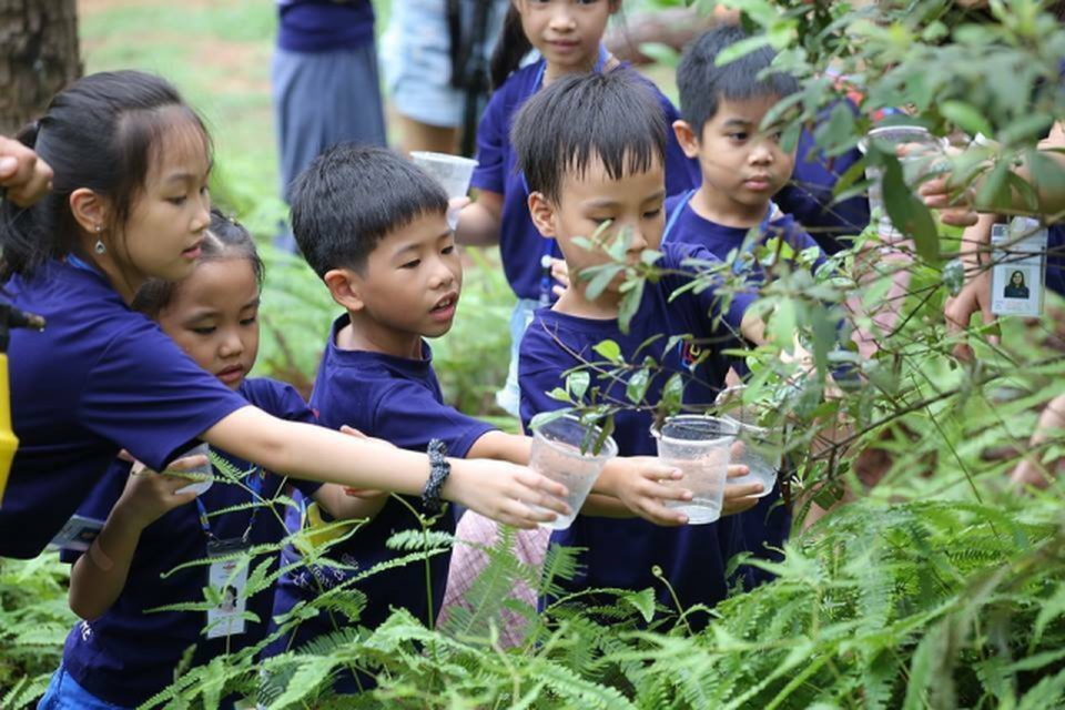 Khám phá những “ngôi nhà thiên nhiên” đầy lý thú cho trẻ phát triển toàn diện - 5 Khám phá những “ngôi nhà thiên nhiên” đầy lý thú cho trẻ phát triển toàn diện - 5