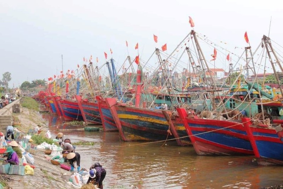 Hải Phòng mưa lớn, biển động; Quảng Ninh giải cứu 8 ngư dân mắc kẹt - 5 Hải Phòng mưa lớn, biển động; Quảng Ninh giải cứu 8 ngư dân mắc kẹt - 5