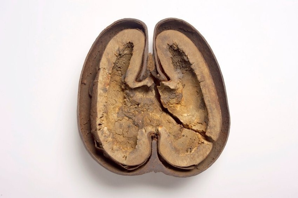 Hòn đảo có loại quả gợi cảm như vòng 3 của thiếu nữ - 6