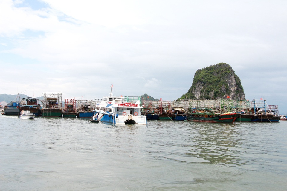 Bạch Long Vĩ đã có gió cấp 7 - 8, Đồ Sơn sóng biển dâng cao - 3 Bạch Long Vĩ đã có gió cấp 7 - 8, Đồ Sơn sóng biển dâng cao - 3