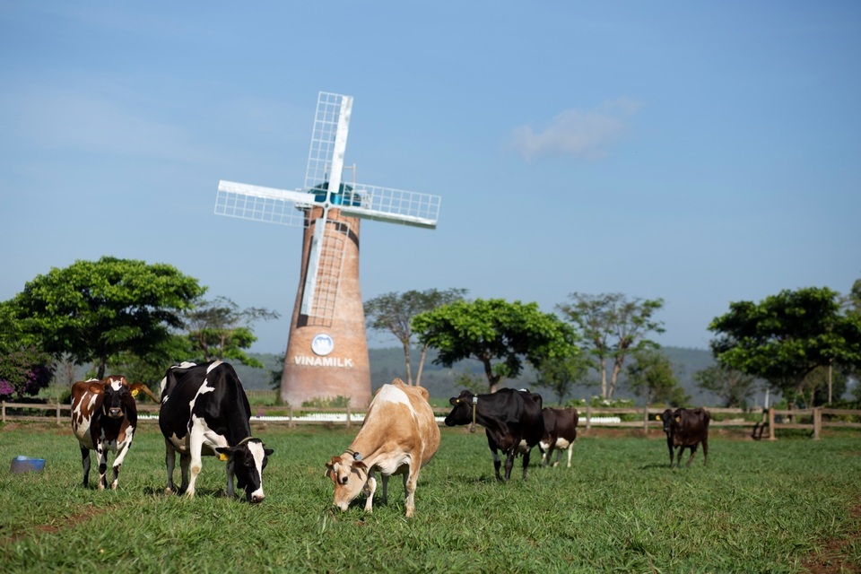 Vinamilk là đại diện duy nhất của châu Á trình bày về Xu hướng Organic tại Hội nghị sữa Toàn cầu 2019 - 5 Vinamilk là đại diện duy nhất của châu Á trình bày về Xu hướng Organic tại Hội nghị sữa Toàn cầu 2019 - 5