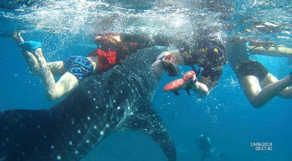 Trải nghiệm cảm giác mạnh ở Cebu - 4 Trải nghiệm cảm giác mạnh ở Cebu - 4
