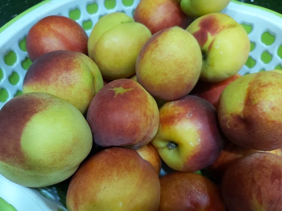 Bí quyết làm món đào ngâm đường “thần thánh” ngon như ở hàng - 1 Bí quyết làm món đào ngâm đường “thần thánh” ngon như ở hàng - 1