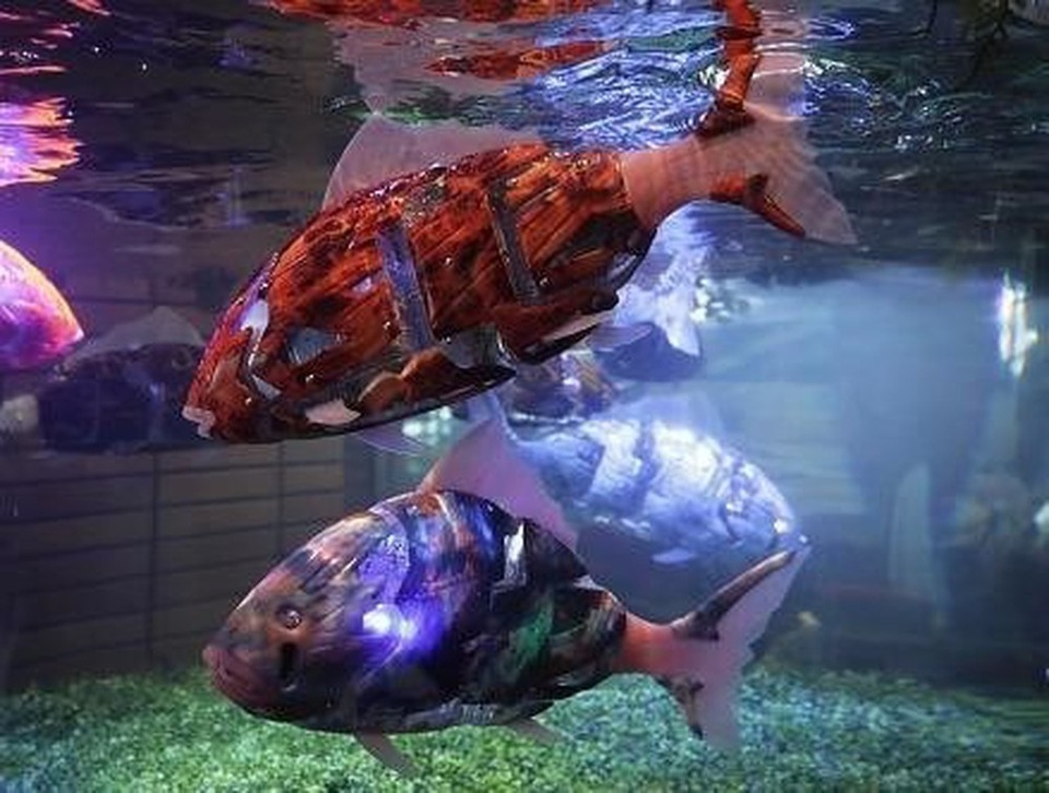 5 robot động vật siêu đáng yêu và hữu ích 5 robot động vật siêu đáng yêu và hữu ích