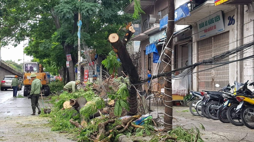 Hải Phòng ngổn ngang cây xanh gãy đổ sau khi bão quét qua - 5 Hải Phòng ngổn ngang cây xanh gãy đổ sau khi bão quét qua - 5