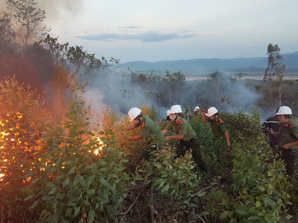 Rừng keo cháy dữ dội, 300 người lăn lộn hơn nửa ngày chưa dập được lửa - 2 Rừng keo cháy dữ dội, 300 người lăn lộn hơn nửa ngày chưa dập được lửa - 2