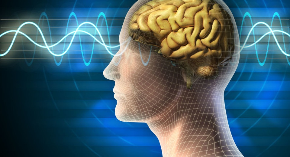 Phương pháp dễ dàng cải thiện não và trí thông minh - 1