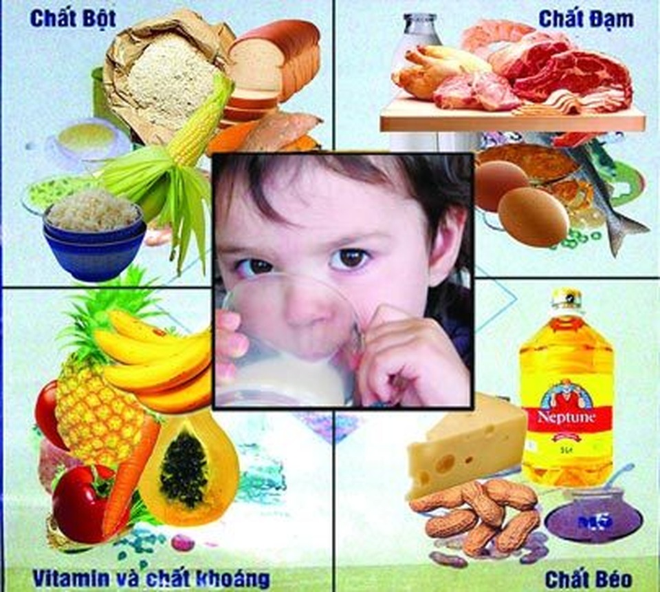 Vi chất dinh dưỡng: Trong thức ăn tốt hơn từ thực phẩm chức năng - 2 Vi chất dinh dưỡng: Trong thức ăn tốt hơn từ thực phẩm chức năng - 2