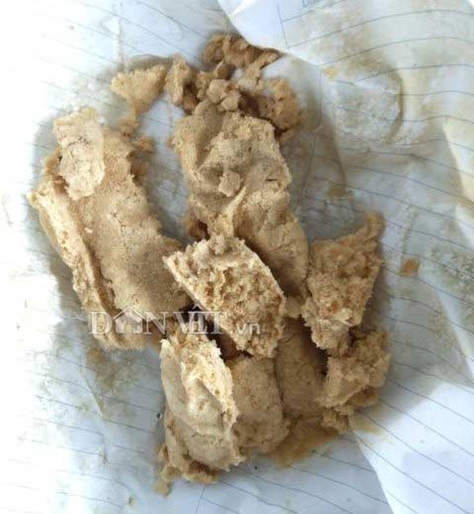 Chuyện lạ Thanh Hóa: Nuôi loài ruồi chết...quá sớm, kiếm bộn tiền - 4 Chuyện lạ Thanh Hóa: Nuôi loài ruồi chết...quá sớm, kiếm bộn tiền - 4