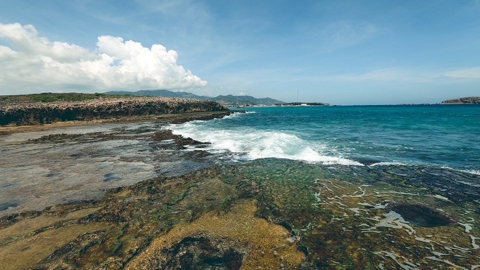 Ninh Thuận “rong câu cho dài” hút doanh nghiệp nghìn tỷ - 2 Ninh Thuận “rong câu cho dài” hút doanh nghiệp nghìn tỷ - 2