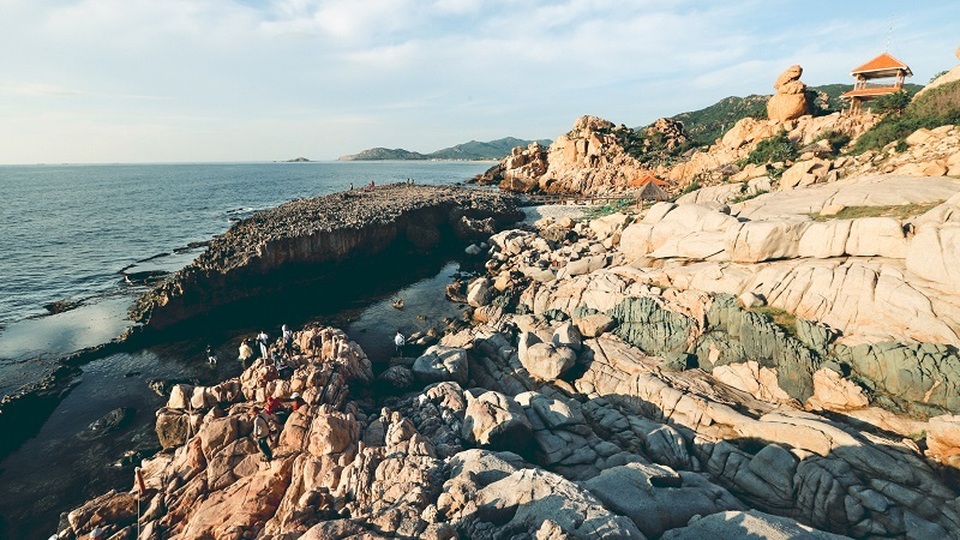 Ninh Thuận “rong câu cho dài” hút doanh nghiệp nghìn tỷ - 3 Ninh Thuận “rong câu cho dài” hút doanh nghiệp nghìn tỷ - 3