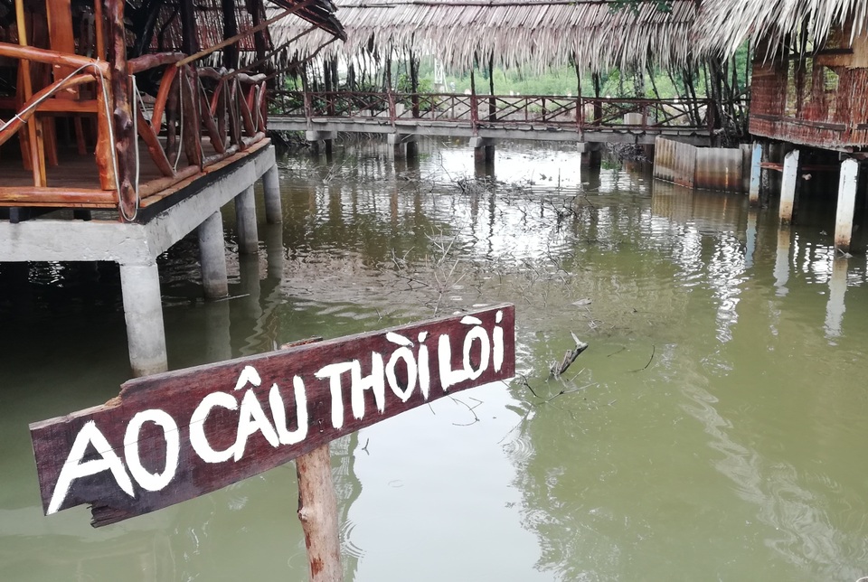 Thăm biểu tượng đường Hồ Chí Minh, ngắm cá thòi lòi, ốc len... lên bờ - 3 Thăm biểu tượng đường Hồ Chí Minh, ngắm cá thòi lòi, ốc len... lên bờ - 3