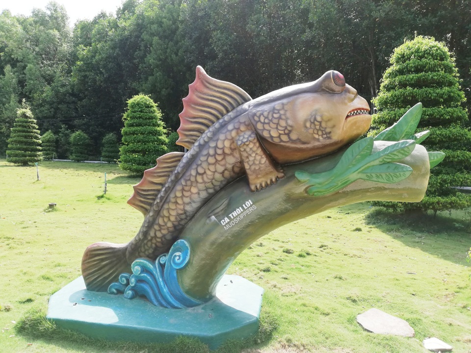 Thăm biểu tượng đường Hồ Chí Minh, ngắm cá thòi lòi, ốc len... lên bờ - 8 Thăm biểu tượng đường Hồ Chí Minh, ngắm cá thòi lòi, ốc len... lên bờ - 8