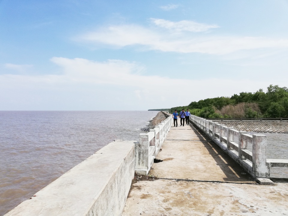 Thăm biểu tượng đường Hồ Chí Minh, ngắm cá thòi lòi, ốc len... lên bờ - 14 Thăm biểu tượng đường Hồ Chí Minh, ngắm cá thòi lòi, ốc len... lên bờ - 14
