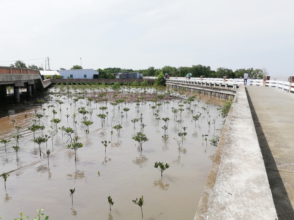 Thăm biểu tượng đường Hồ Chí Minh, ngắm cá thòi lòi, ốc len... lên bờ - 24 Thăm biểu tượng đường Hồ Chí Minh, ngắm cá thòi lòi, ốc len... lên bờ - 24