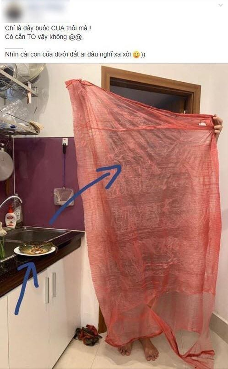 Quả dại đáng ghét ở Việt Nam, Trung Quốc chế thành thảo dược đắt đỏ - 6