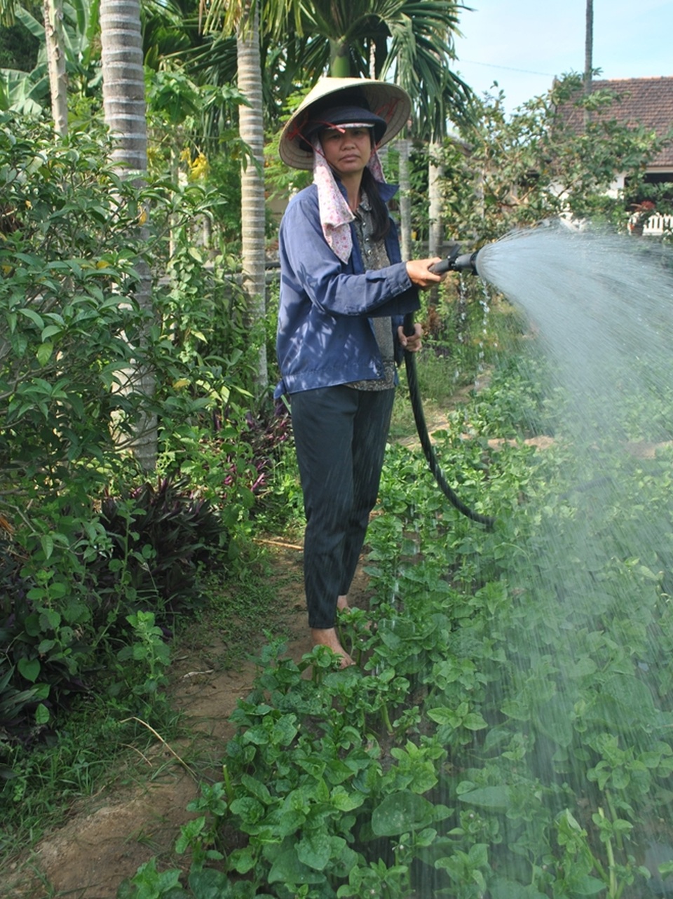 Chuyện về dòng họ gom tiền cho Bình tây Nguyên soái Mai Xuân Thưởng chống Pháp - 4 Chuyện về dòng họ gom tiền cho Bình tây Nguyên soái Mai Xuân Thưởng chống Pháp - 4