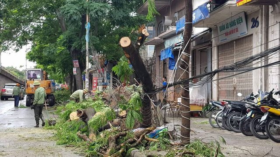 Hố tử thần liên tiếp gây họa - 6  Hố tử thần liên tiếp gây họa - 6