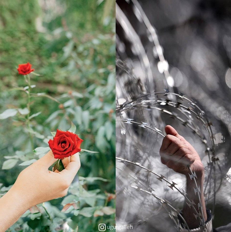 Dân mạng rơi nước mắt với bộ ảnh “sự trái ngược đáng sợ giữa chiến tranh và hòa bình” - 7 Dân mạng rơi nước mắt với bộ ảnh “sự trái ngược đáng sợ giữa chiến tranh và hòa bình” - 7