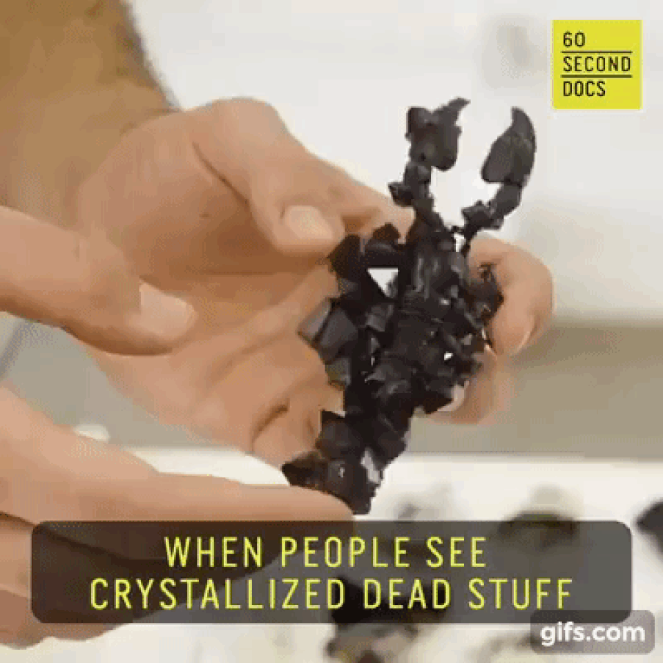 Chuyện khó tin về chàng trai chuyên biến xác chết thành… “đá quý” - 1