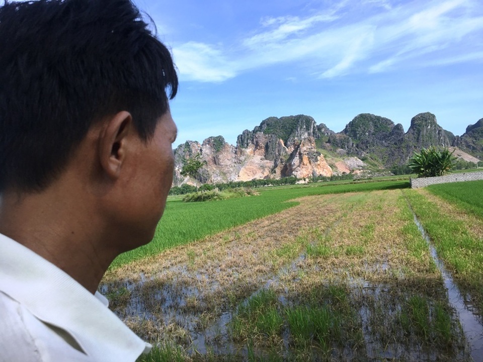 Nhiều hộ dân điêu đứng vì lúa chết sau khi phun thuốc trừ cỏ - 2 Nhiều hộ dân điêu đứng vì lúa chết sau khi phun thuốc trừ cỏ - 2