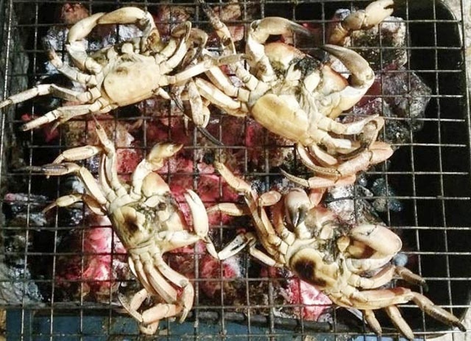 Nhanh tay, tinh mắt cầm đèn đi vạch đá săn cua đặc sản ở đảo An Bình - 12 Nhanh tay, tinh mắt cầm đèn đi vạch đá săn cua đặc sản ở đảo An Bình - 12