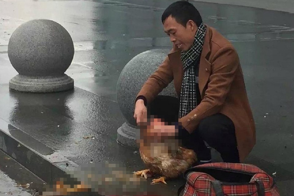 Cấm mang động vật sống lên tàu, nữ hành khách giết gà trước cửa ga “lách luật” - 2 Cấm mang động vật sống lên tàu, nữ hành khách giết gà trước cửa ga “lách luật” - 2
