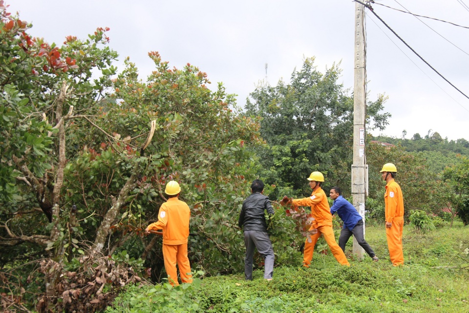 PC Đắk Nông đảm bảo an toàn lưới điện trong mùa mưa bão - 2 PC Đắk Nông đảm bảo an toàn lưới điện trong mùa mưa bão - 2