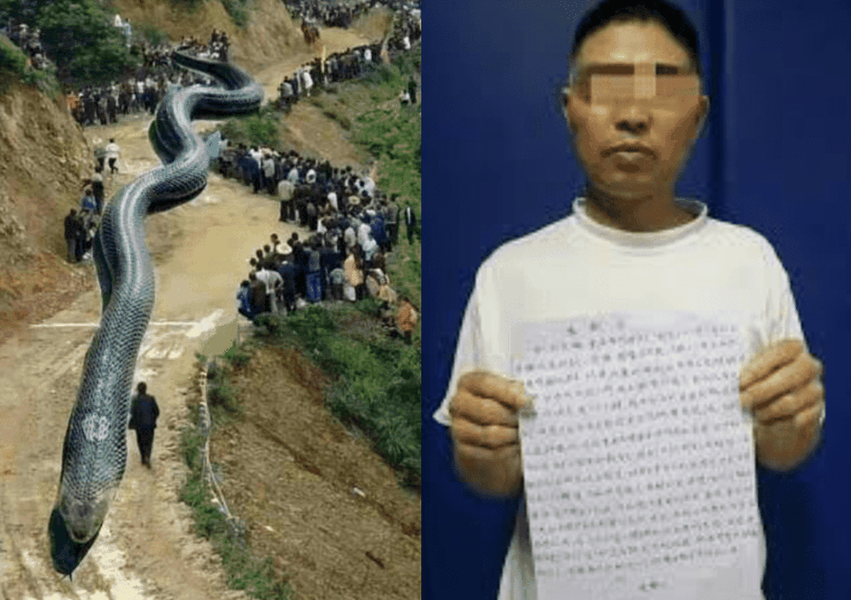 Bị bắt vì tung tin “rồng khổng lồ gây ra động đất” lên mạng xã hội - 1