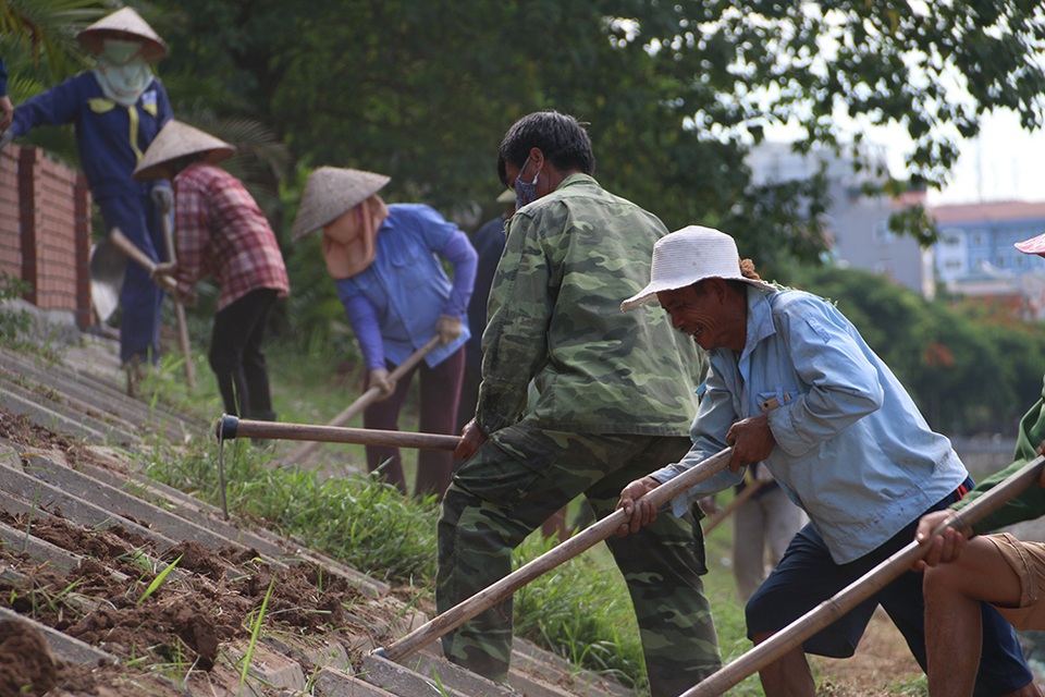 Bờ kè sông Tô Lịch được phủ xanh bằng cỏ lá tre - 1 Bờ kè sông Tô Lịch được phủ xanh bằng cỏ lá tre - 1