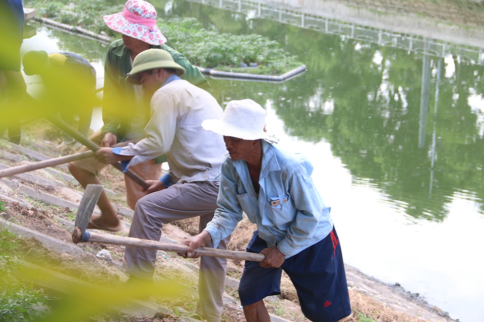 Bờ kè sông Tô Lịch được phủ xanh bằng cỏ lá tre - 4 Bờ kè sông Tô Lịch được phủ xanh bằng cỏ lá tre - 4