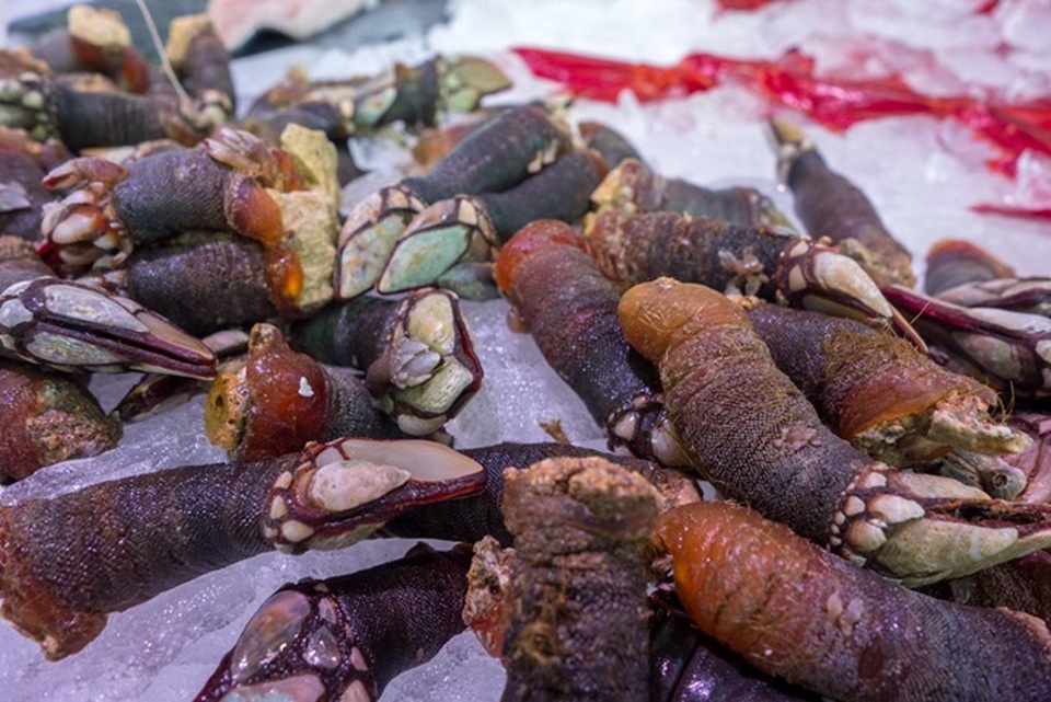 Trông gớm ghiếc như ngón tay quỷ, ai ngờ bán 4 triệu đồng/kg - 12