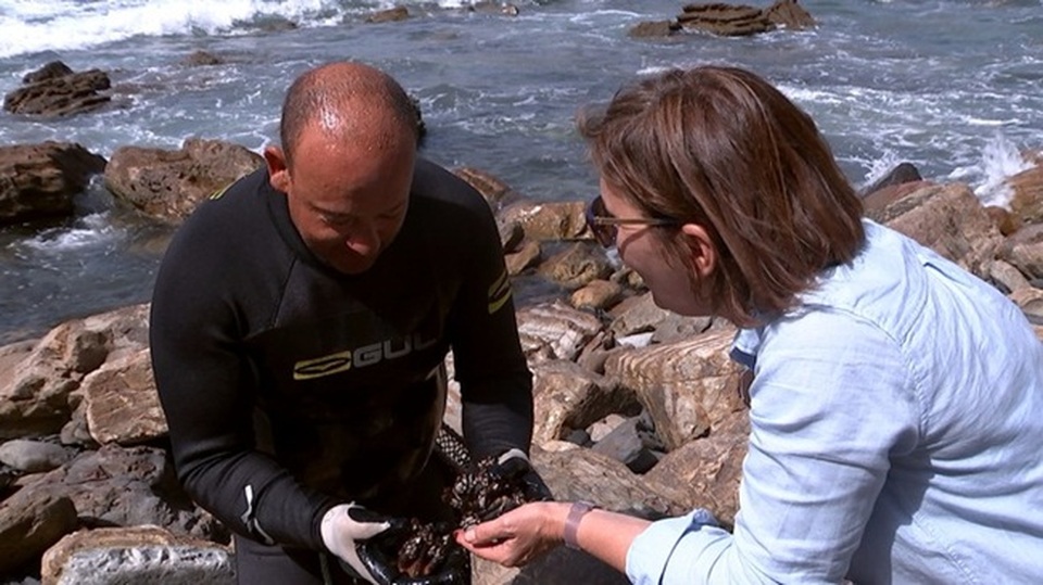 Trông gớm ghiếc như ngón tay quỷ, ai ngờ bán 4 triệu đồng/kg - 6