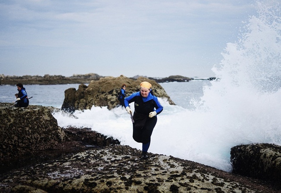 Trông gớm ghiếc như ngón tay quỷ, ai ngờ bán 4 triệu đồng/kg - 7