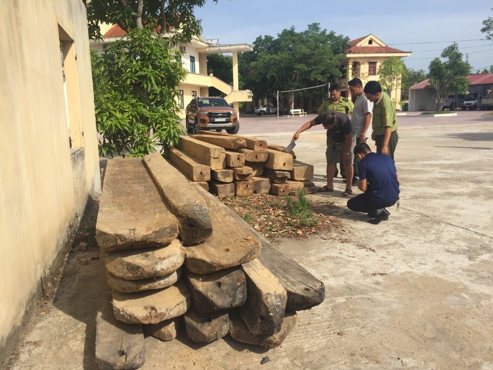 Đối tượng chở gỗ lậu tấn công kiểm lâm viên khi bị truy bắt - 1 Đối tượng chở gỗ lậu tấn công kiểm lâm viên khi bị truy bắt - 1
