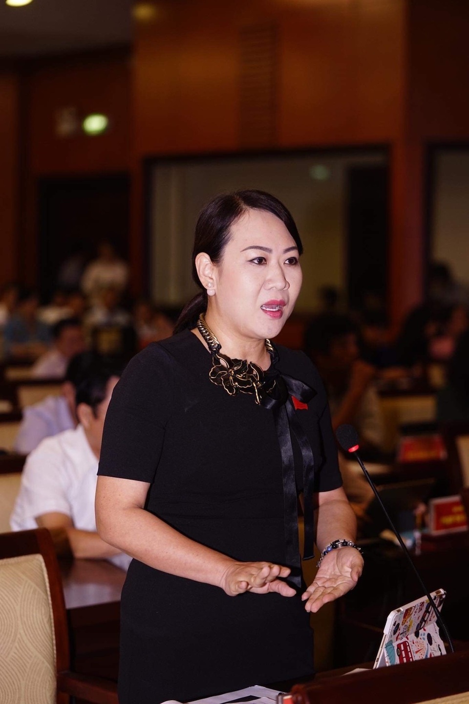 TPHCM: “Cái lu chống ngập” nhận phản ứng, bà “nghị” Xuân thanh minh - 1 TPHCM: “Cái lu chống ngập” nhận phản ứng, bà “nghị” Xuân thanh minh - 1